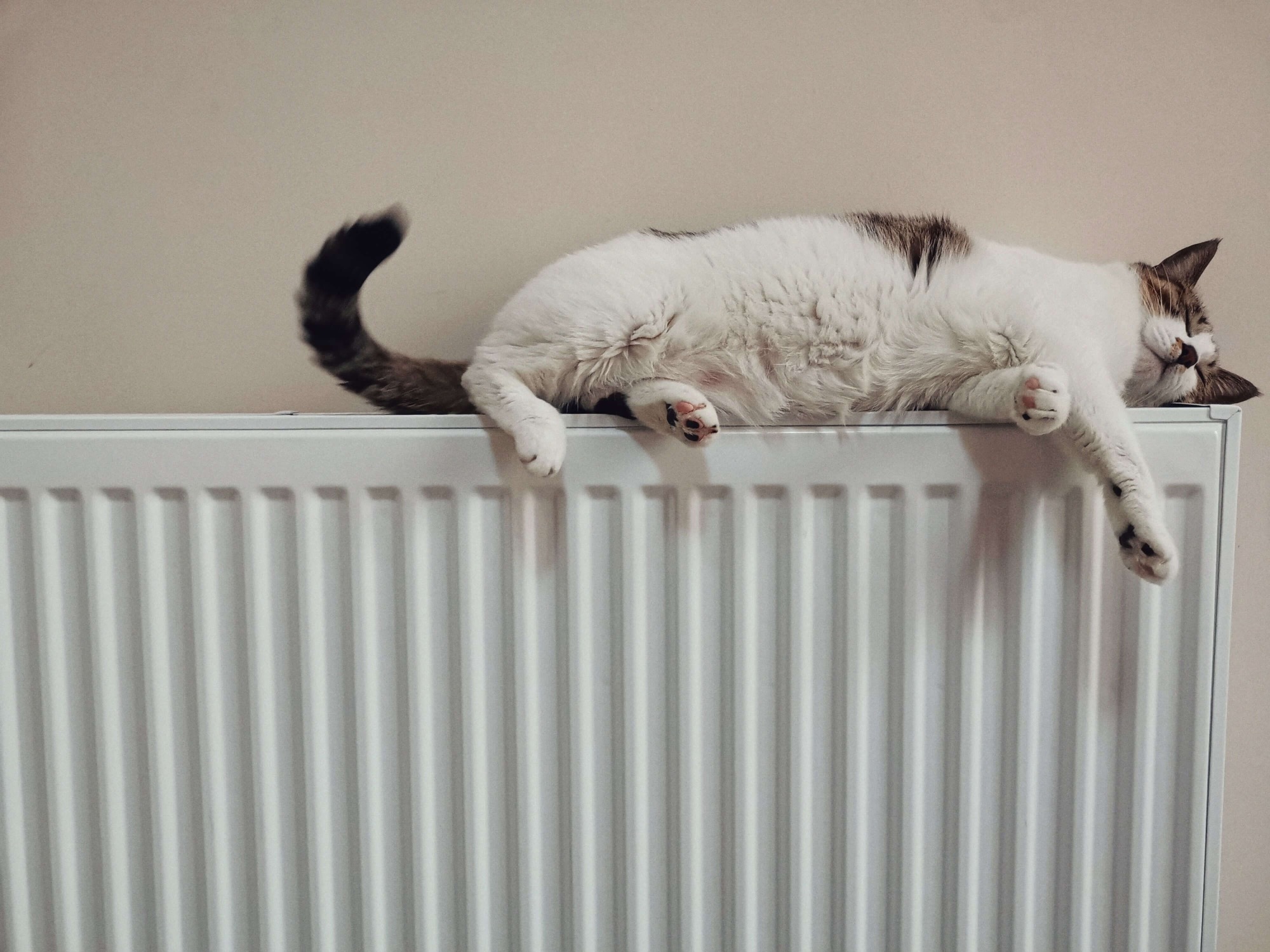 radiatorventilator